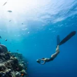 Oceanic Film Festival