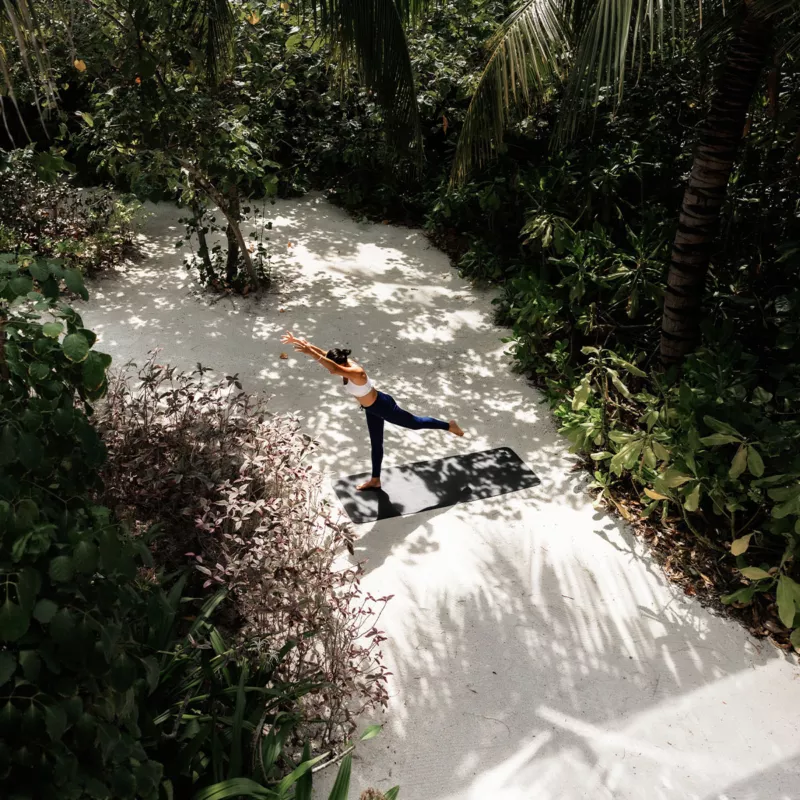 Reconnect, Recharge, Renew at Fari Studios