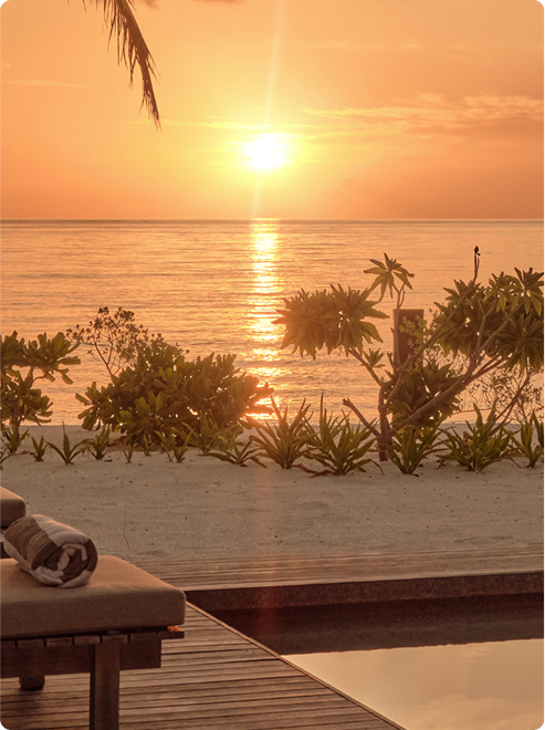 A view of the sunset.