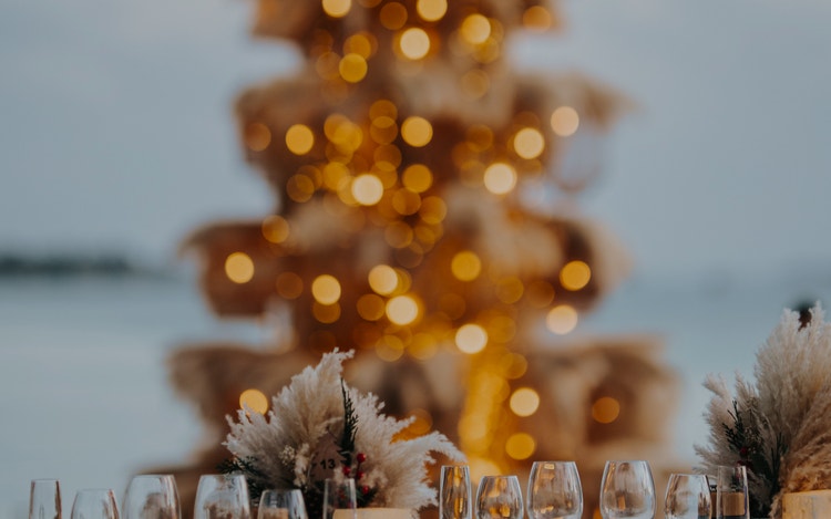 Wine glasses sparkle near holiday tree.