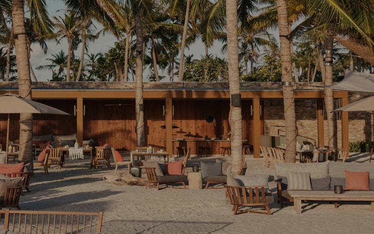 Lounge seating under tropical palm canopy.