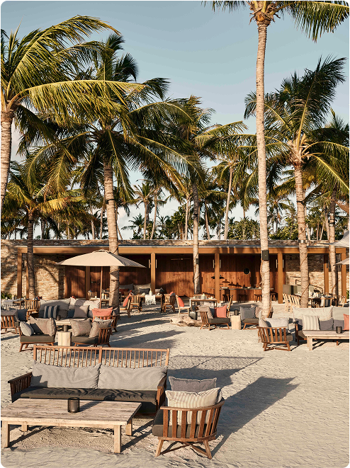 Outdoor lounge shaded by palm trees.