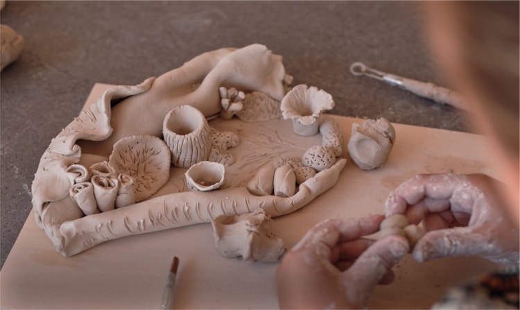 Coral creations