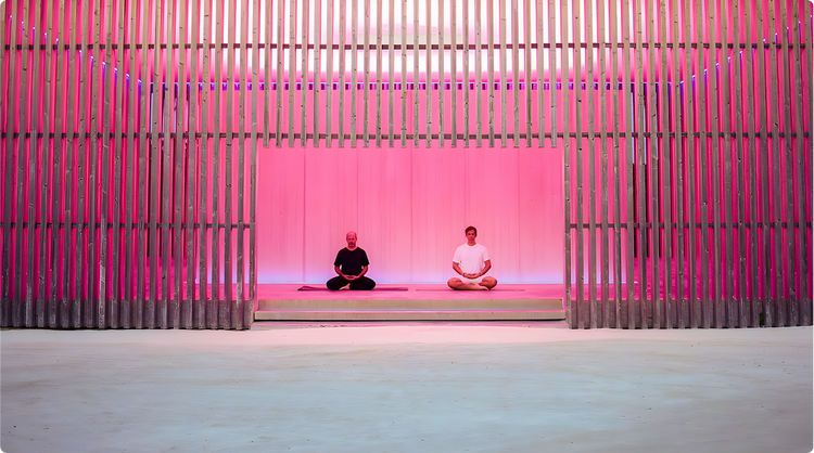 Two men sitting in a yoga position with a pink color background