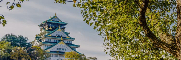 Osaka Castle framed by lush summer greenery