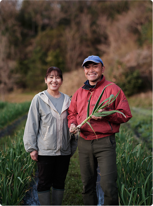 Farmers harvest fresh produce in field.