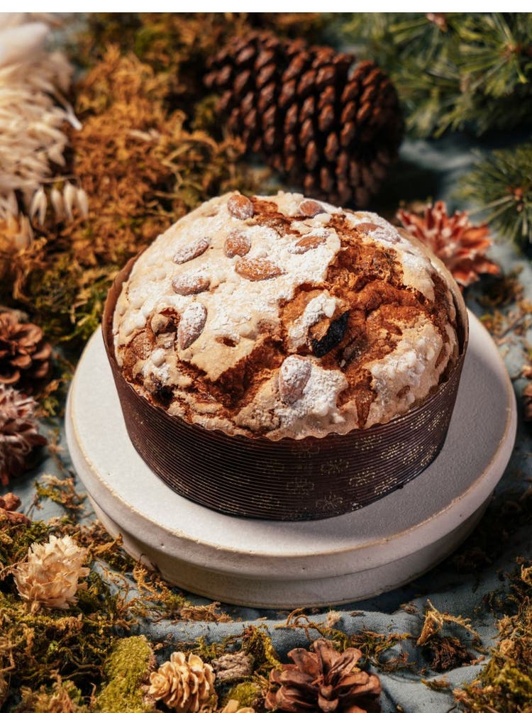 panettone - 1