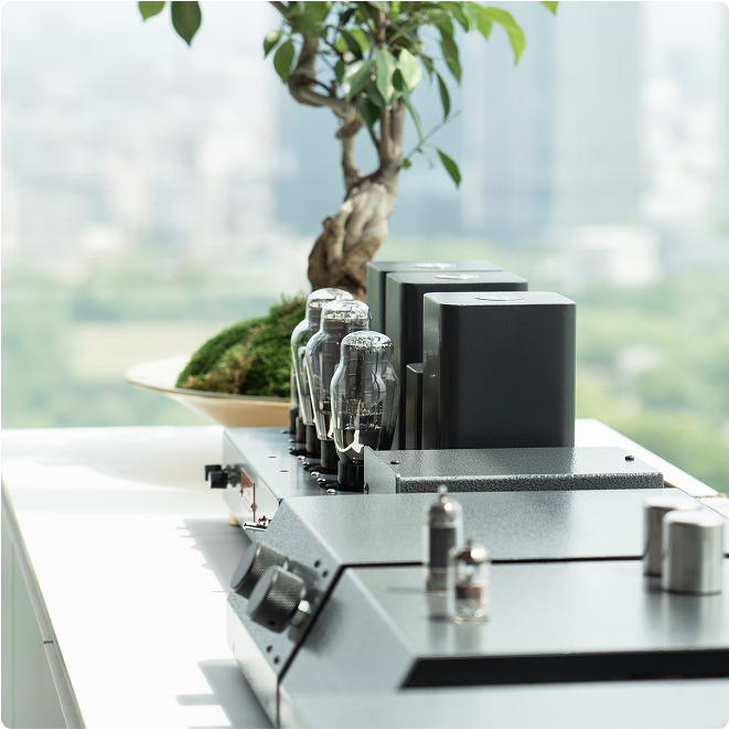 Vacuum tube amp beside bonsai tree.