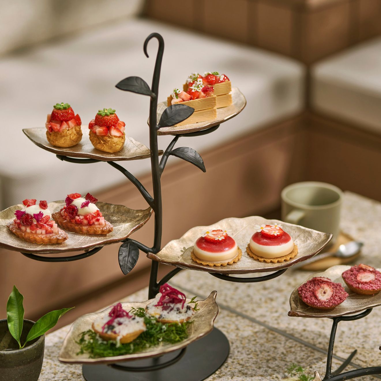 P72 - 季節の変化に沿った植物由来の料理（七十二候） | パティーナ大阪