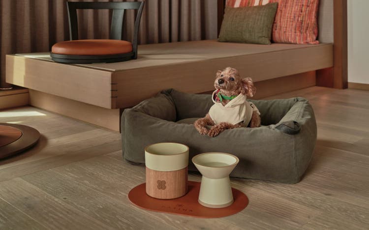 Interior view of Patina Suite at Patina Osaka.